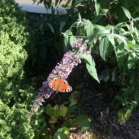 The Gap Donegal Town